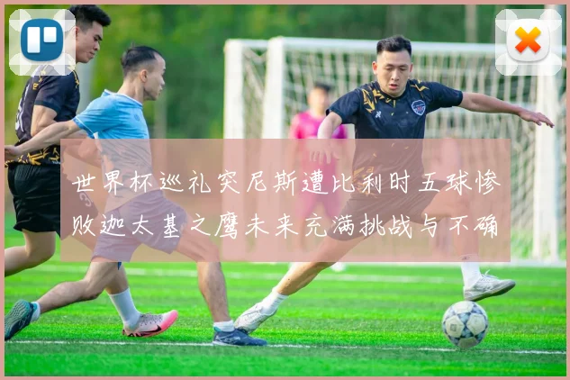 世界杯巡礼突尼斯遭比利时五球惨败迦太基之鹰未来充满挑战与不确定性